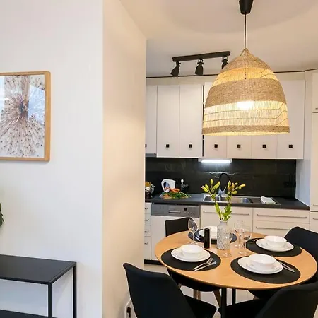 Apartment Piekne, Przestronne Mieszkanie Przy Placu Teatralnym.