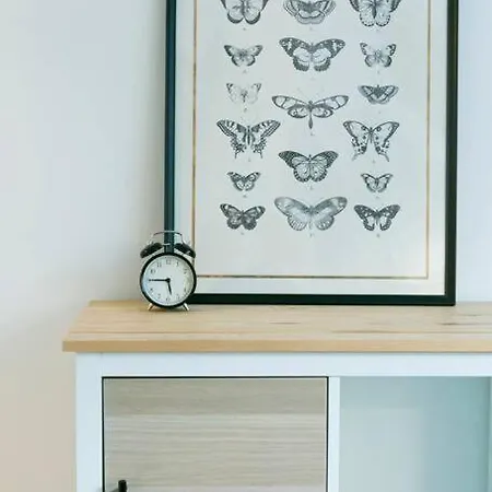 Piękne, Przestronne Mieszkanie Przy Placu Teatralnym. Apartament *